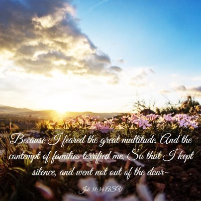 Picture 03 - Job 31:34 ASV - Because I feared the great multitude, And the - Bible Verse Picture