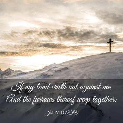 Picture 03 - Job 31:38 ASV - If my land crieth out against me, And the furrows - Bible Verse Picture