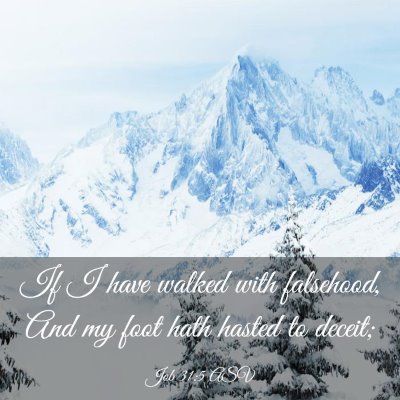 Picture 03 - Job 31:5 ASV - If I have walked with falsehood, And my foot hath - Bible Verse Picture