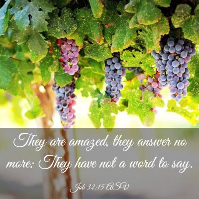 Picture 03 - Job 32:15 ASV - They are amazed, they answer no more: They have - Bible Verse Picture