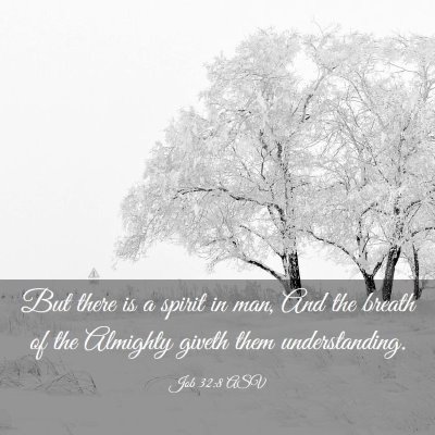 Picture 03 - Job 32:8 ASV - But there is a spirit in man, And the breath of - Bible Verse Picture