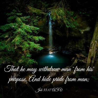 Picture 03 - Job 33:17 ASV - That he may withdraw man `from his' purpose, And - Bible Verse Picture