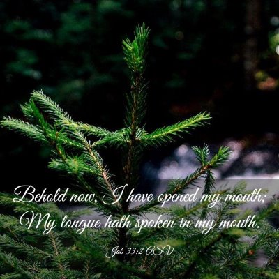 Picture 03 - Job 33:2 ASV - Behold now, I have opened my mouth; My tongue - Bible Verse Picture