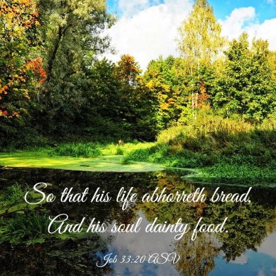 Picture 03 - Job 33:20 ASV - So that his life abhorreth bread, And his soul - Bible Verse Picture