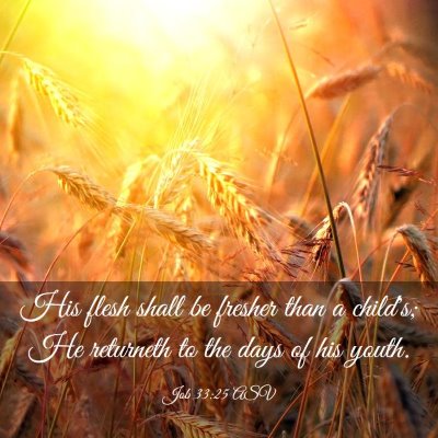 Picture 03 - Job 33:25 ASV - His flesh shall be fresher than a child's; He - Bible Verse Picture