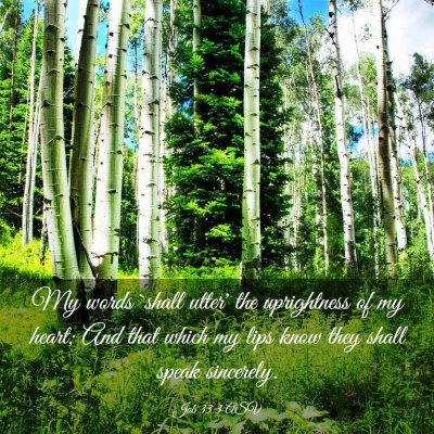 Picture 03 - Job 33:3 ASV - My words `shall utter' the uprightness of my - Bible Verse Picture