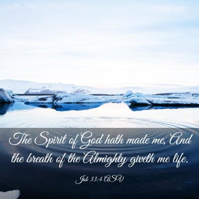 Picture 03 - Job 33:4 ASV - The Spirit of God hath made me, And the breath of - Bible Verse Picture