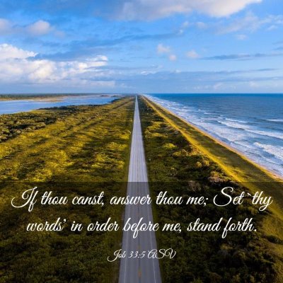 Picture 03 - Job 33:5 ASV - If thou canst, answer thou me; Set `thy words' in - Bible Verse Picture