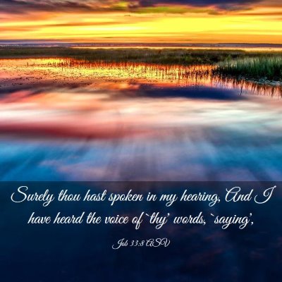 Picture 03 - Job 33:8 ASV - Surely thou hast spoken in my hearing, And I have - Bible Verse Picture