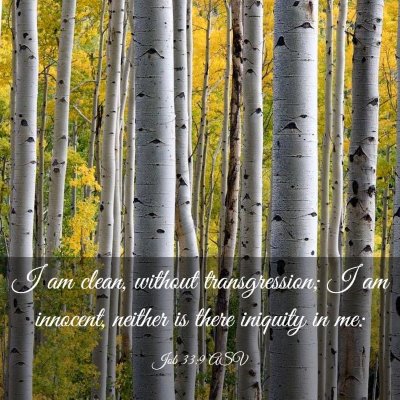 Picture 03 - Job 33:9 ASV - I am clean, without transgression; I am innocent, - Bible Verse Picture