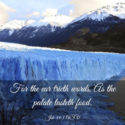 Picture 03 - Job 34:3 ASV - For the ear trieth words, As the palate tasteth - Bible Verse Picture