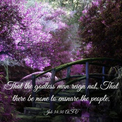 Picture 03 - Job 34:30 ASV - That the godless man reign not, That there be - Bible Verse Picture