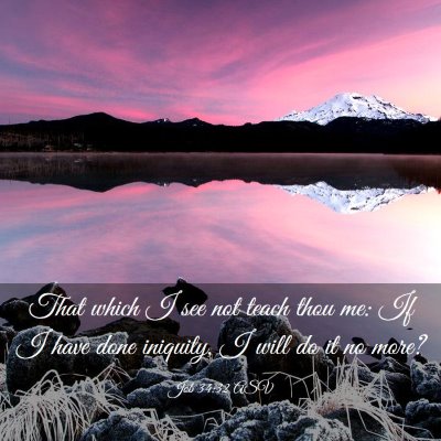 Picture 03 - Job 34:32 ASV - That which I see not teach thou me: If I have - Bible Verse Picture