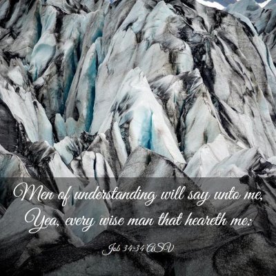 Picture 03 - Job 34:34 ASV - Men of understanding will say unto me, Yea, every - Bible Verse Picture
