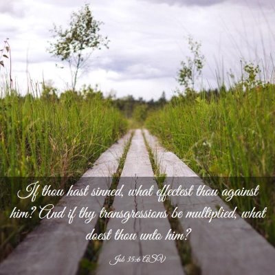 Picture 03 - Job 35:6 ASV - If thou hast sinned, what effectest thou against - Bible Verse Picture