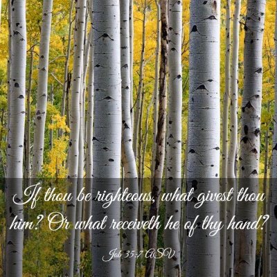 Picture 03 - Job 35:7 ASV - If thou be righteous, what givest thou him? Or - Bible Verse Picture