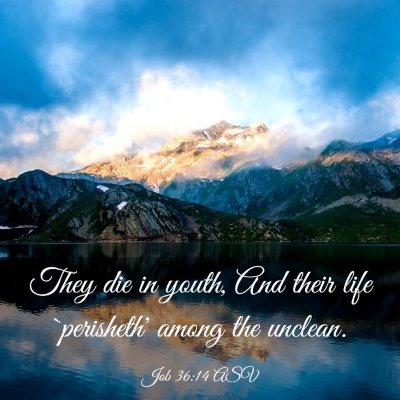 Picture 03 - Job 36:14 ASV - They die in youth, And their life `perisheth' - Bible Verse Picture