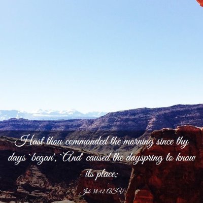 Picture 03 - Job 38:12 ASV - Hast thou commanded the morning since thy days - Bible Verse Picture