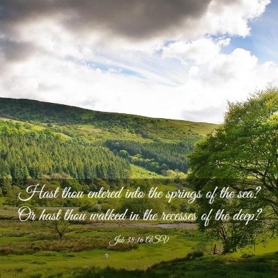 Picture 03 - Job 38:16 ASV - Hast thou entered into the springs of the sea? Or - Bible Verse Picture