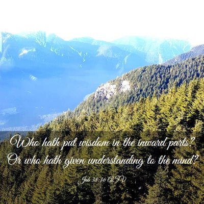 Picture 03 - Job 38:36 ASV - Who hath put wisdom in the inward parts? Or who - Bible Verse Picture