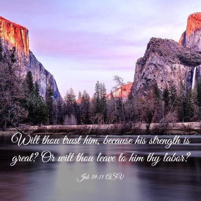 Picture 03 - Job 39:11 ASV - Wilt thou trust him, because his strength is - Bible Verse Picture