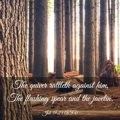 Picture 03 - Job 39:23 ASV - The quiver rattleth against him, The flashing - Bible Verse Picture