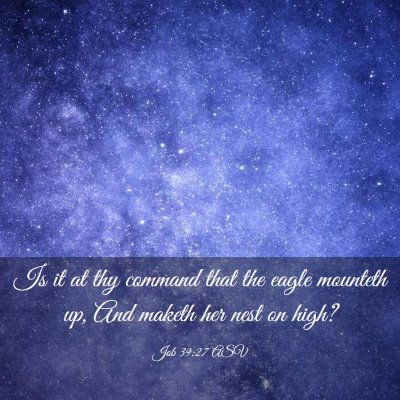 Picture 03 - Job 39:27 ASV - Is it at thy command that the eagle mounteth up, - Bible Verse Picture