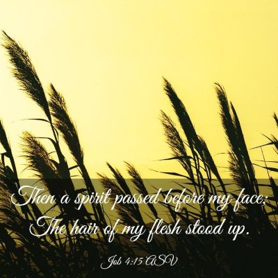 Picture 03 - Job 4:15 ASV - Then a spirit passed before my face; The hair of - Bible Verse Picture