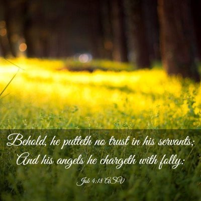 Picture 03 - Job 4:18 ASV - Behold, he putteth no trust in his servants; And - Bible Verse Picture