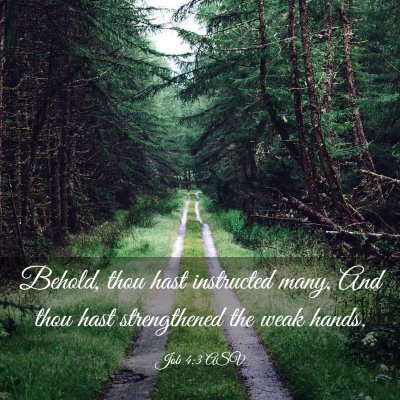 Picture 03 - Job 4:3 ASV - Behold, thou hast instructed many, And thou hast - Bible Verse Picture