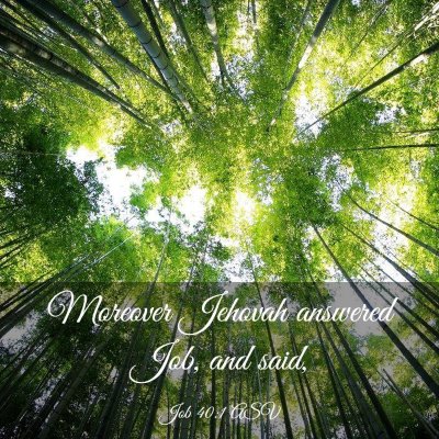 Picture 03 - Job 40:1 ASV - Moreover Jehovah answered Job, and - Bible Verse Picture