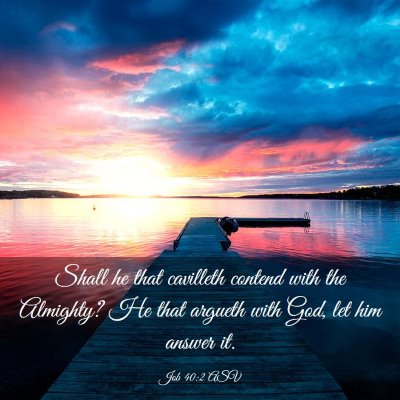 Picture 03 - Job 40:2 ASV - Shall he that cavilleth contend with the - Bible Verse Picture