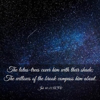 Picture 03 - Job 40:22 ASV - The lotus-trees cover him with their shade; The - Bible Verse Picture