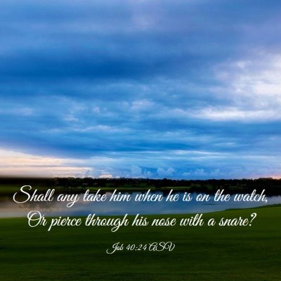 Picture 03 - Job 40:24 ASV - Shall any take him when he is on the watch, Or - Bible Verse Picture