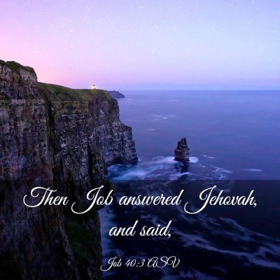 Picture 03 - Job 40:3 ASV - Then Job answered Jehovah, and - Bible Verse Picture