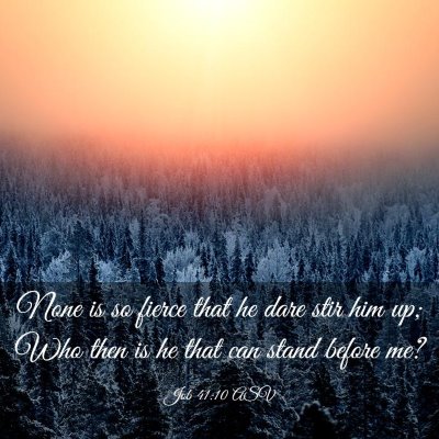 Picture 03 - Job 41:10 ASV - None is so fierce that he dare stir him up; Who - Bible Verse Picture