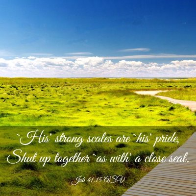 Picture 03 - Job 41:15 ASV - `His' strong scales are `his' pride, Shut up - Bible Verse Picture