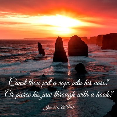 Picture 03 - Job 41:2 ASV - Canst thou put a rope into his nose? Or pierce - Bible Verse Picture
