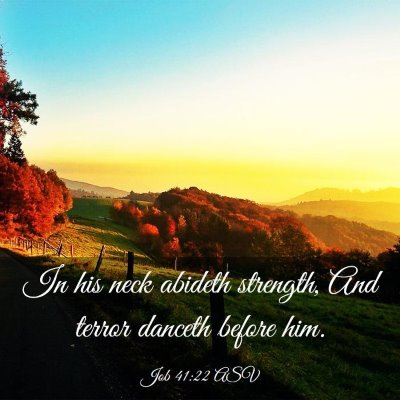 Picture 03 - Job 41:22 ASV - In his neck abideth strength, And terror danceth - Bible Verse Picture