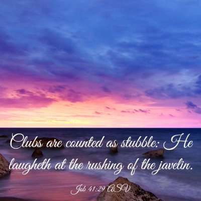 Picture 03 - Job 41:29 ASV - Clubs are counted as stubble: He laugheth at the - Bible Verse Picture