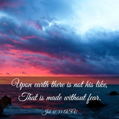 Picture 03 - Job 41:33 ASV - Upon earth there is not his like, That is made - Bible Verse Picture