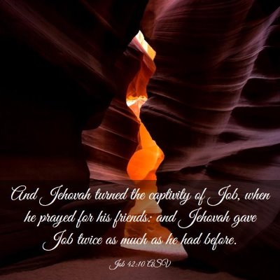 Picture 03 - Job 42:10 ASV - And Jehovah turned the captivity of Job, when he - Bible Verse Picture