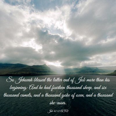 Picture 03 - Job 42:12 ASV - So Jehovah blessed the latter end of Job more - Bible Verse Picture