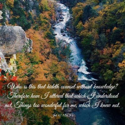 Picture 03 - Job 42:3 ASV - Who is this that hideth counsel without - Bible Verse Picture