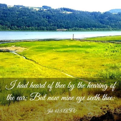 Picture 03 - Job 42:5 ASV - I had heard of thee by the hearing of the ear; - Bible Verse Picture