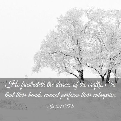 Picture 03 - Job 5:12 ASV - He frustrateth the devices of the crafty, So that - Bible Verse Picture