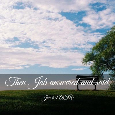 Picture 03 - Job 6:1 ASV - Then Job answered and - Bible Verse Picture