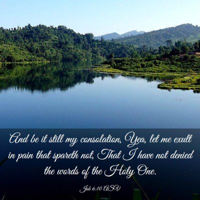 Picture 03 - Job 6:10 ASV - And be it still my consolation, Yea, let me exult - Bible Verse Picture