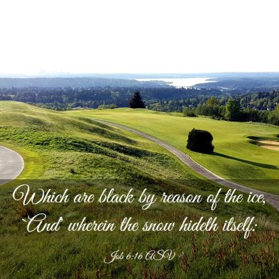 Picture 03 - Job 6:16 ASV - Which are black by reason of the ice, `And' - Bible Verse Picture