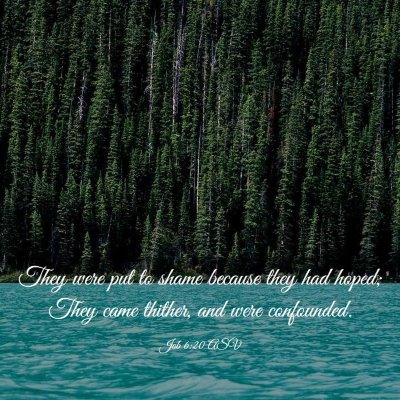 Picture 03 - Job 6:20 ASV - They were put to shame because they had hoped; - Bible Verse Picture